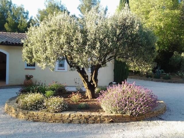 Maison Privee Au Calme Dans Mas Provencal Villa Sanary-sur-Mer Eksteriør billede